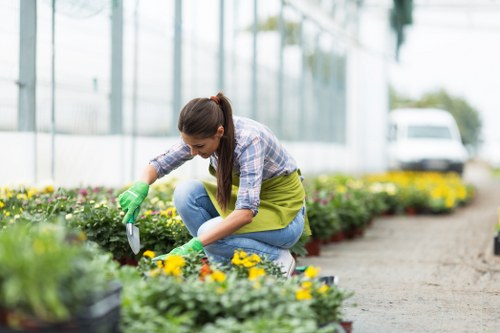 Volunteers arranging compost bays at Gardening Belmont site