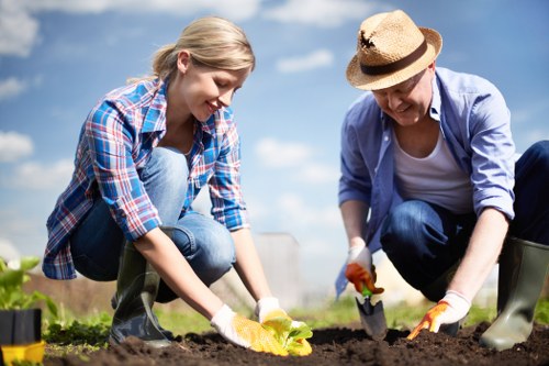 Professional landscaping services installation