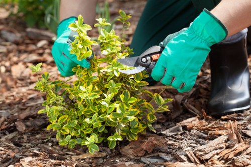 Electric van collecting garden waste for transfer station
