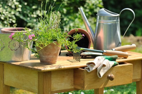 Variety of plants suited for Belmont landscapes