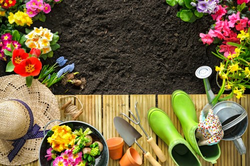 Close-up of hands using a keyboard and magnifier to navigate a gardening website