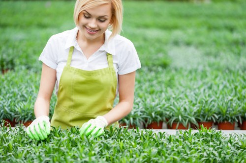 PPE and equipment checks for garden maintenance crew