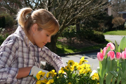 Eco-friendly garden clearance practices in Belmont