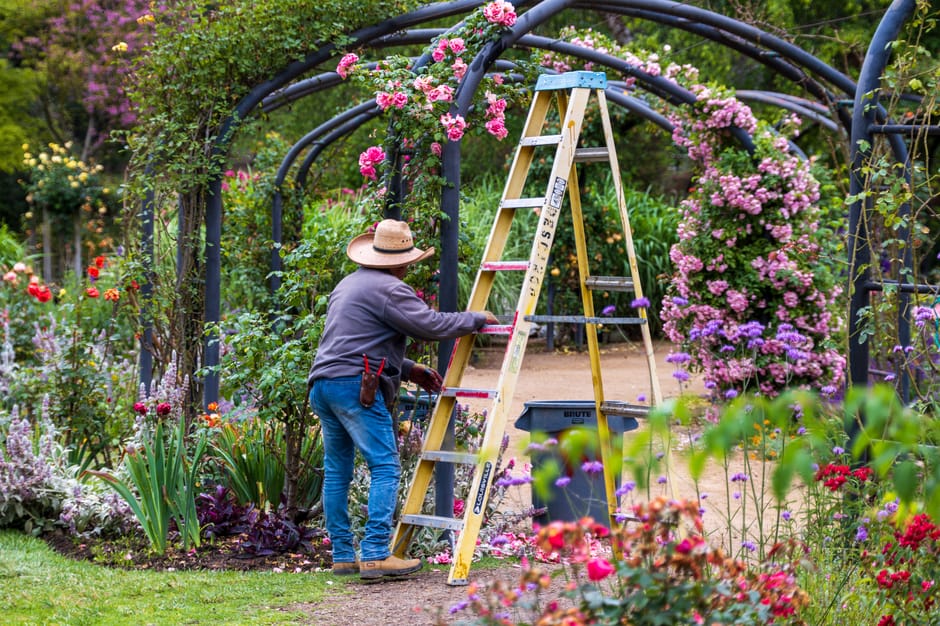 A well-maintained garden scene featuring a lush, neatly mowed lawn in the foreground with a border of colorful flowering plants and shrubs. Behind the flower border, a trimmed hedge runs horizontally 